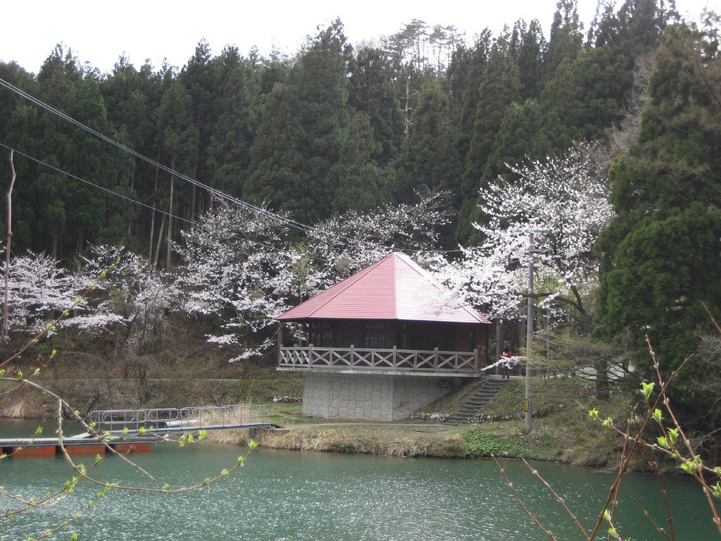 ⛩️ 사쿠라가이케 이케미야 신사 (櫻ヶ池 池宮神社) 이미지 6